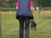 10. Hunderennen