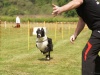 10. Hunderennen