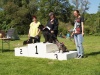 10. Hunderennen