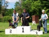 10. Hunderennen