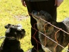 Anlage (5)