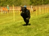 Hunde-0042