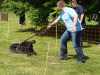 Hunderennen_2015 (105)