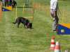 Hunderennen_2015 (106)