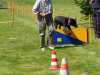 Hunderennen_2015 (107)
