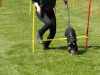 Hunderennen_2015 (112)