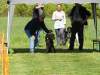 Hunderennen_2015 (57)