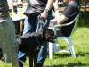 Hunderennen_2015 (71)