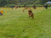 DSC03360
