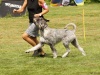 DSC04756