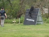 PSK LGA 2017
