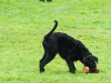 DSC04570.jpg