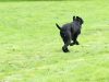 DSC04638.jpg