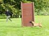 DSC04674.jpg